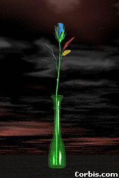 flower-vase.jpg (6933 bytes)